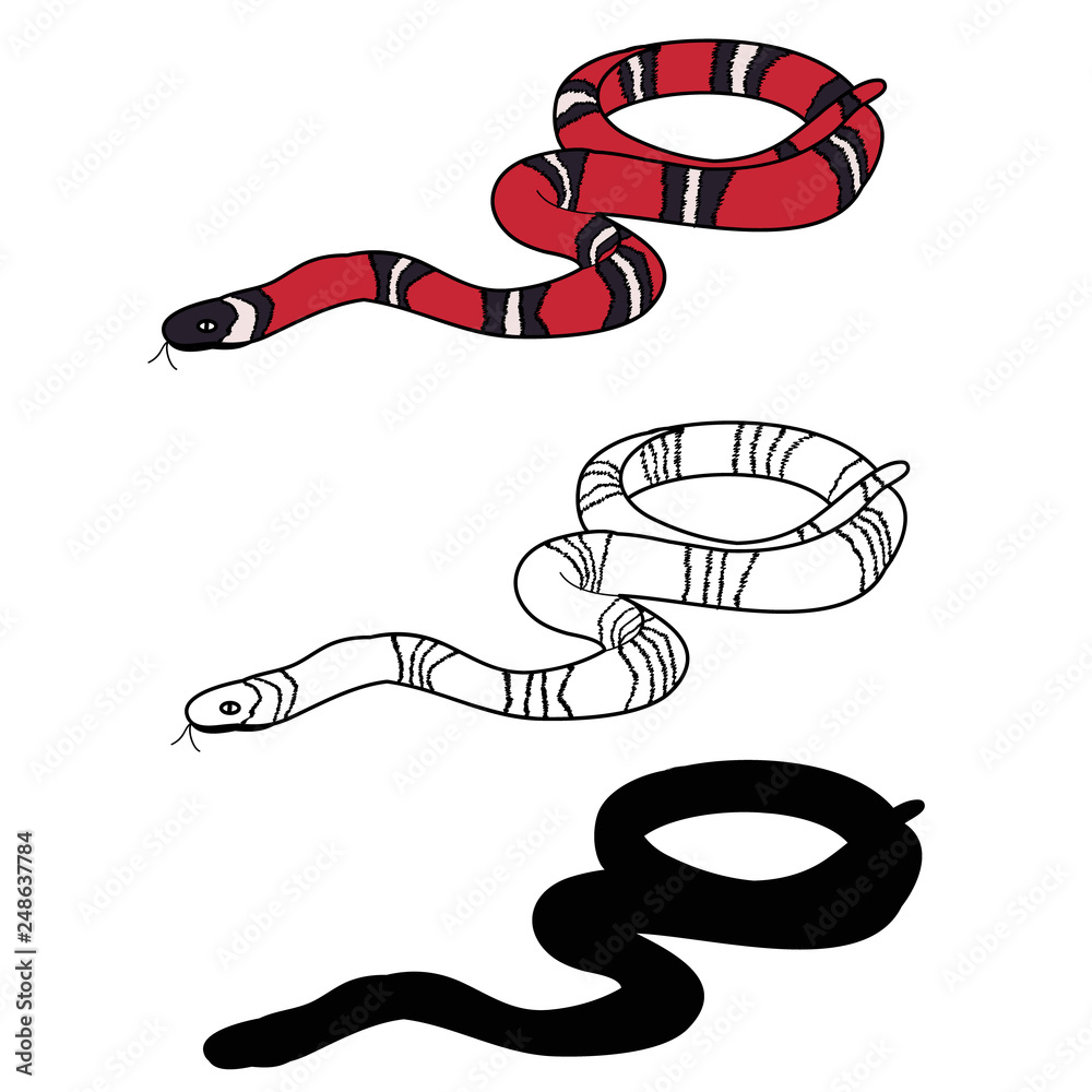 Naklejka premium vector, isolated, snake, red