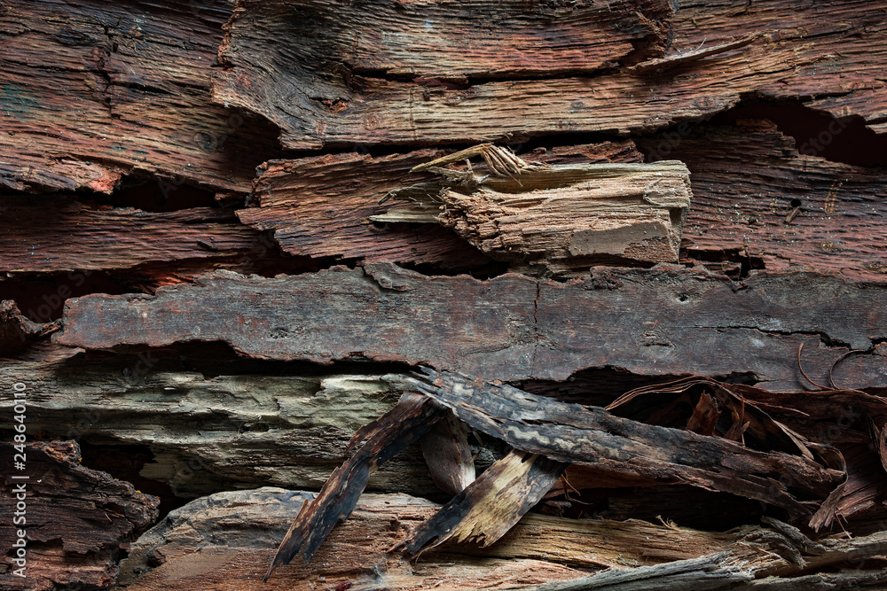 Driftwood bark solid background. Driftwood bark solid background.