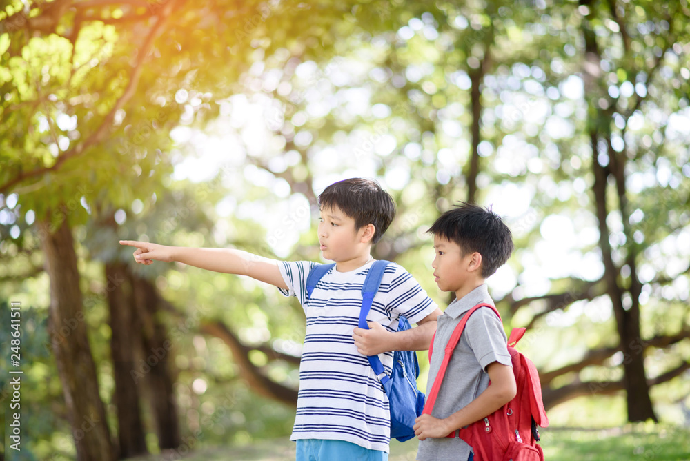 Preteen Asian boy travel in a forest in summer and learn about nature and tree. Preteen Asian boy travel in a forest in summer and learn about nature and tree.