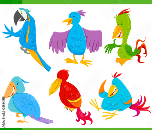 colorful birds cartoon characters set