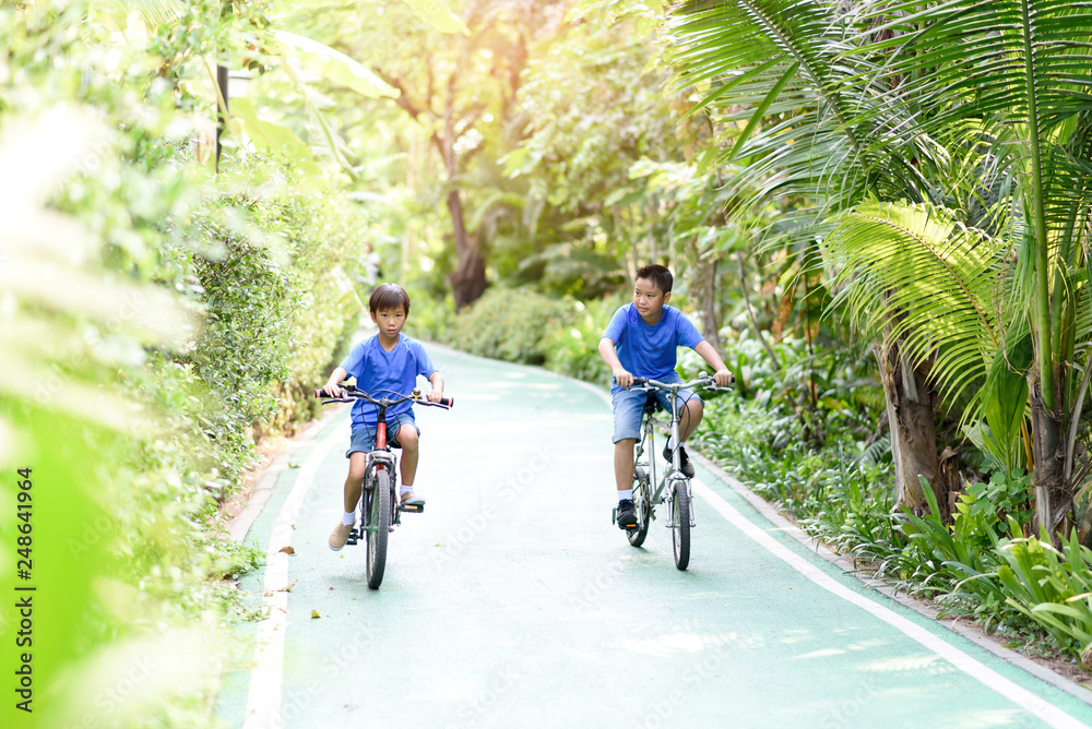 Preteen boy ride a bicycle in a park
