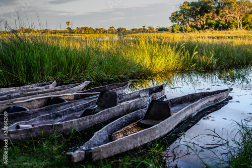 Im Okavangodelta photo