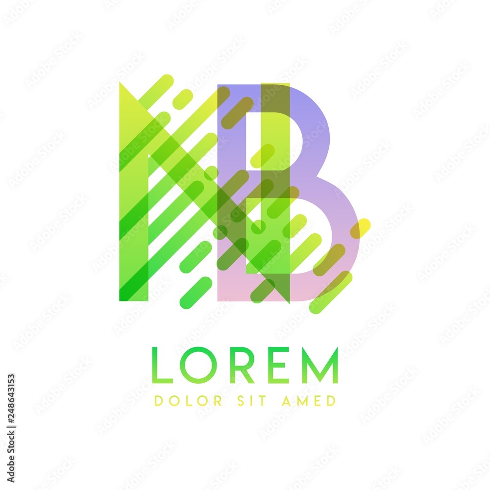 NB logo with the theme of galaxy speed and style that is suitable for creative and business industries. BN Letter Logo design for all webpage media and mobile, simple, modern and colorful. NB logo with the theme of galaxy speed and style that is suitable for creative and business industries. BN Letter Logo design for all webpage media and mobile, simple, modern and colorful.