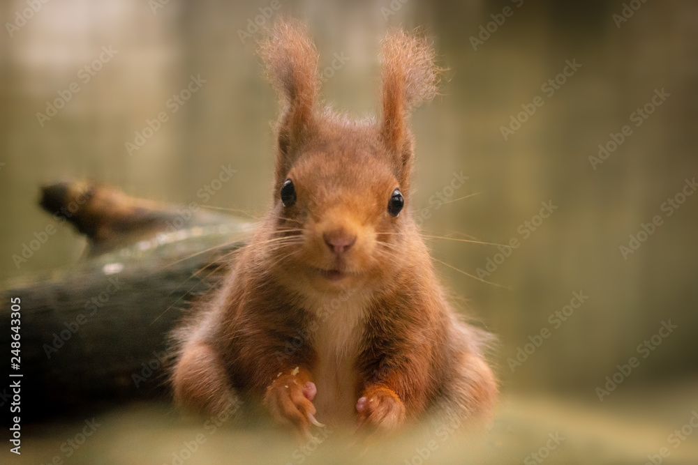 Fototapeta premium DSC3464