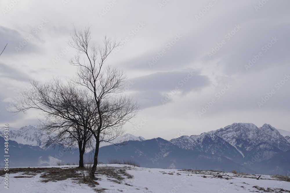 Winter landscape. The mountains. Snow peaks and snow at the foot of the mountains. Beautiful clouds and sun. Winter landscape. The mountains. Snow peaks and snow at the foot of the mountains. Beautiful clouds and sun.