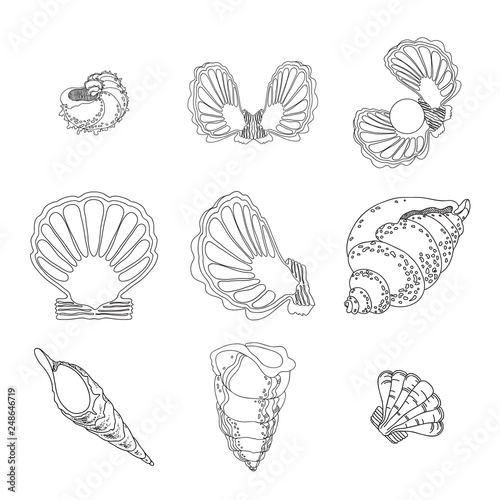 Set of various sea creatures icons. Hand drawing Vector.