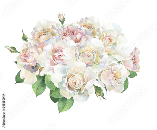 A bouquet of pink and white roses on a white background. For congratulations and invitations, weddings, birthday, mom's day. © Olga F