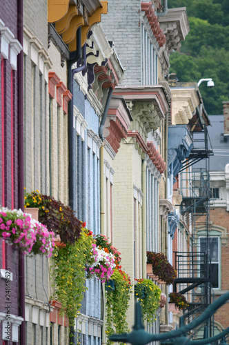 Flowers over Findlay photo