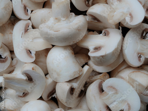 champignon mushrooms close up