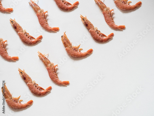 Prawn pattern on white background with copy space