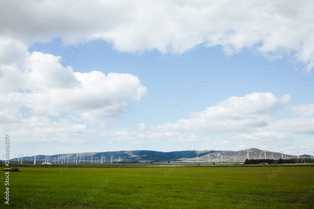 Field of wind power