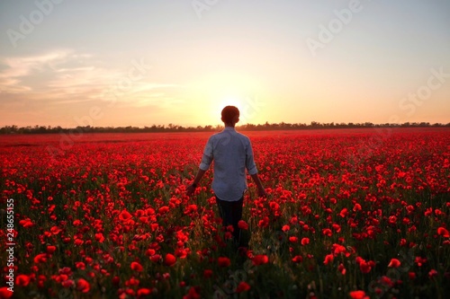 Sunset in poppy field