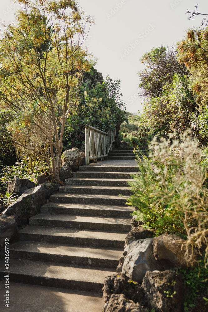 A path in botanical garden in Gran Canaria with various trees, cactus, bright flowers 