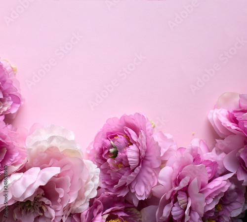 Fototapeta Naklejka Na Ścianę i Meble -  Peonies flowers on pink background. 8 March Woman's Day greeting card background.