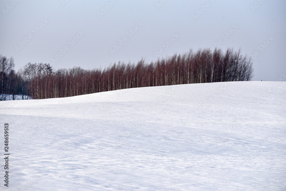 Snow field in winter