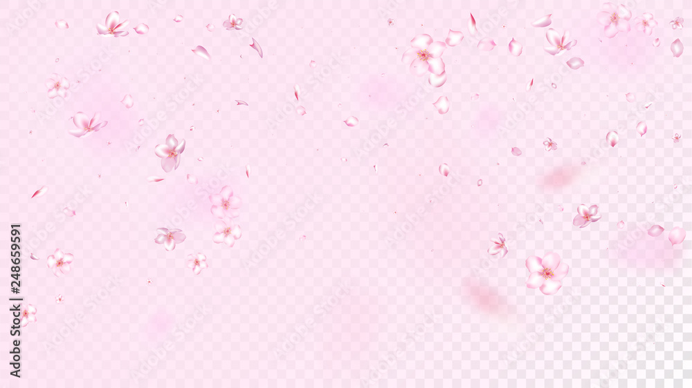Nice Sakura Blossom Isolated Vector. Pastel Falling 3d Petals Wedding Pattern. Japanese Style Flowers Wallpaper. Valentine, Mother's Day Spring Nice Sakura Blossom Isolated on Rose