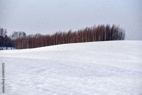 Snow field in winter