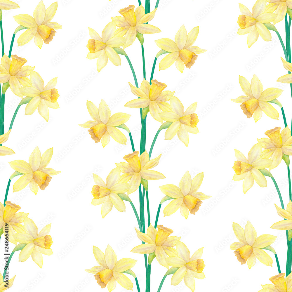 Daffodils or narcissus. Yellow flowers. Seamless pattern. Hand drawn watercolor illustration.
