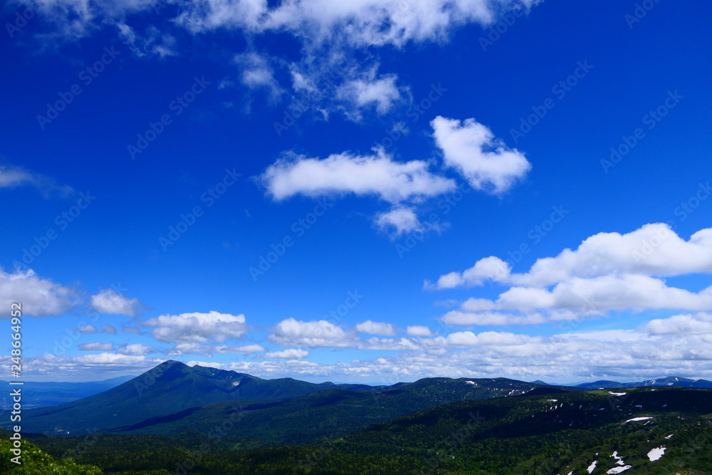 十和田八幡平国立公園。八幡平山頂より岩手山を望む。八幡平　岩手　日本。６月下旬。　