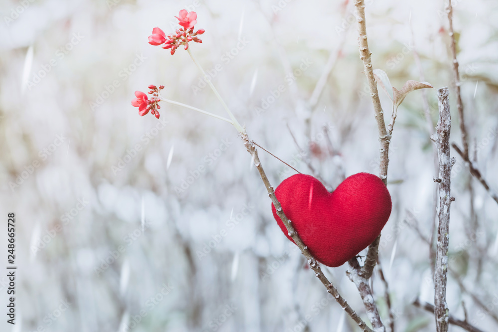A little red heart pillow on dry tree. - obrazy, fototapety, plakaty 