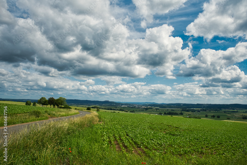 Blick ins Coburger Land Oberfranken mit Zuckerrübenfeldern