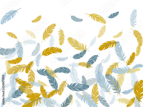 Detailed majestic feather on white design.