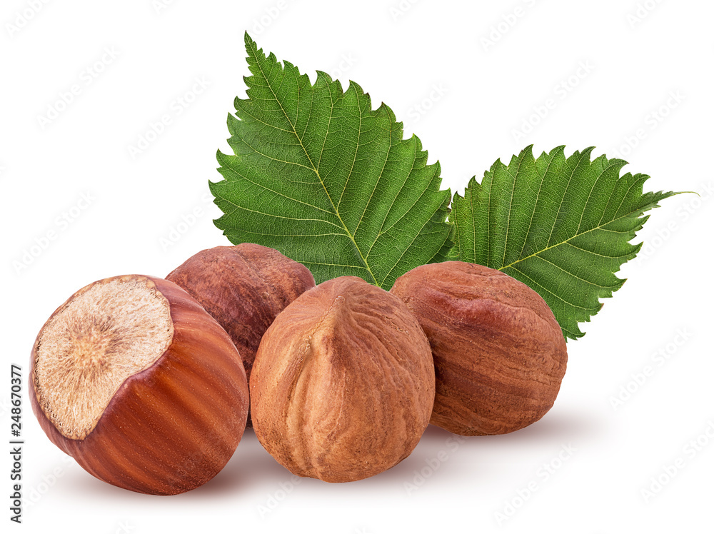 Three peeled and one in shell hazelnut with leaf. Fresh organic filbert Three peeled and one in shell hazelnut with leaf. Fresh organic filbert