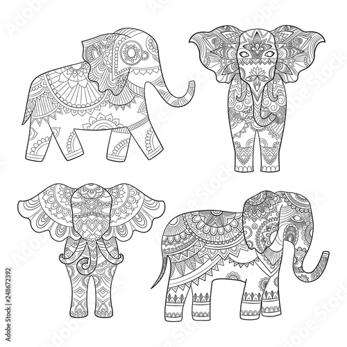 Fototapeta Naklejka Na Ścianę i Meble -  Indian elephant decoration. Animal pattern for adults colored pages vector tribal illustrations. Animal elephant indian, ethnic tribal