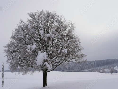 Winterlandschaft