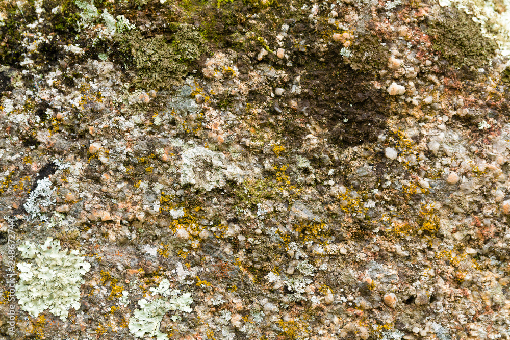 Texture of a granite stone I Texture of a granite stone I