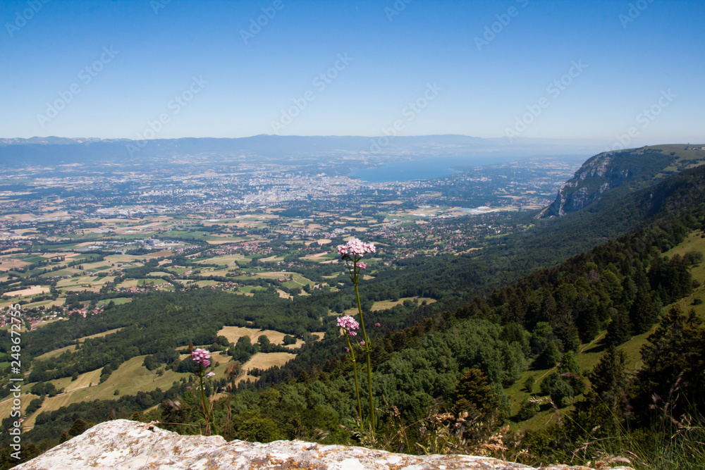 Altitude Panorama over Lake Leman and French  Haute Savoie Valley on a Sunny Summer Day