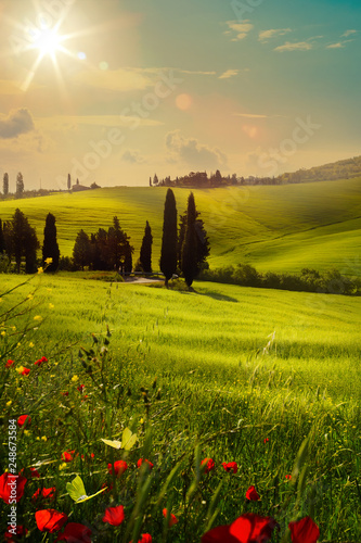 spring farmland and country road; tuscany countryside rolling hills