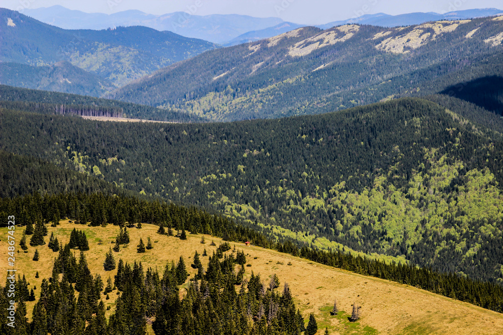 Panorama of green mountains Carpathians on a clear summer day.