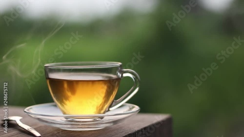 Hot tea with green garden outdoor in the evening