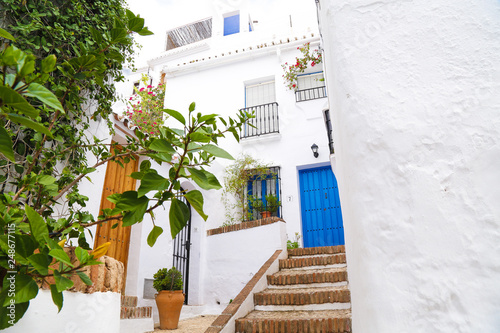 small backyard with white houses and plants and a blue door on a summer day in spain