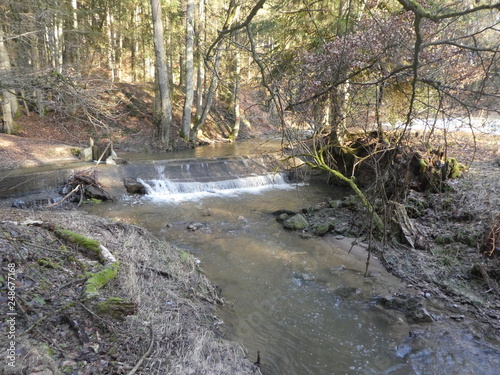 wild stream in winter in the forest 
