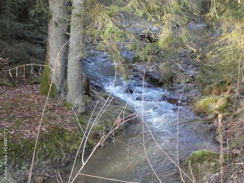 wild stream in winter in the forest 