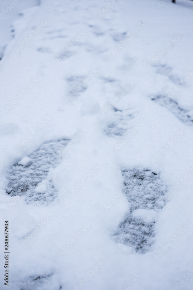Footprint on Snow