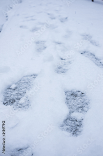 Footprint on Snow © Minilinnn
