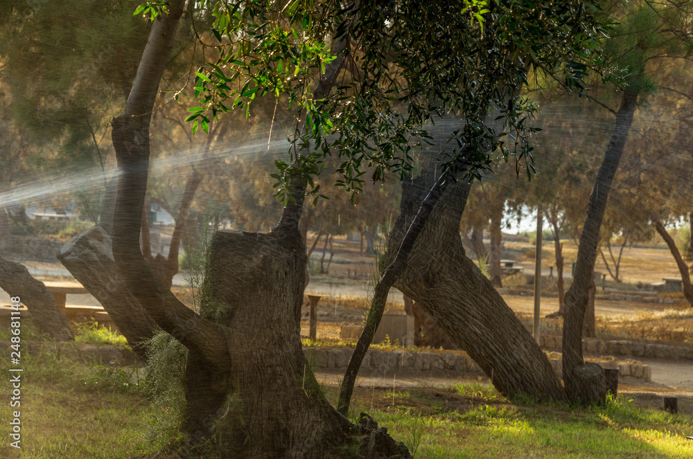 Day off in the city park. Israel Ashkelon October 4, 2018. Day off in the city park. Israel Ashkelon October 4, 2018.