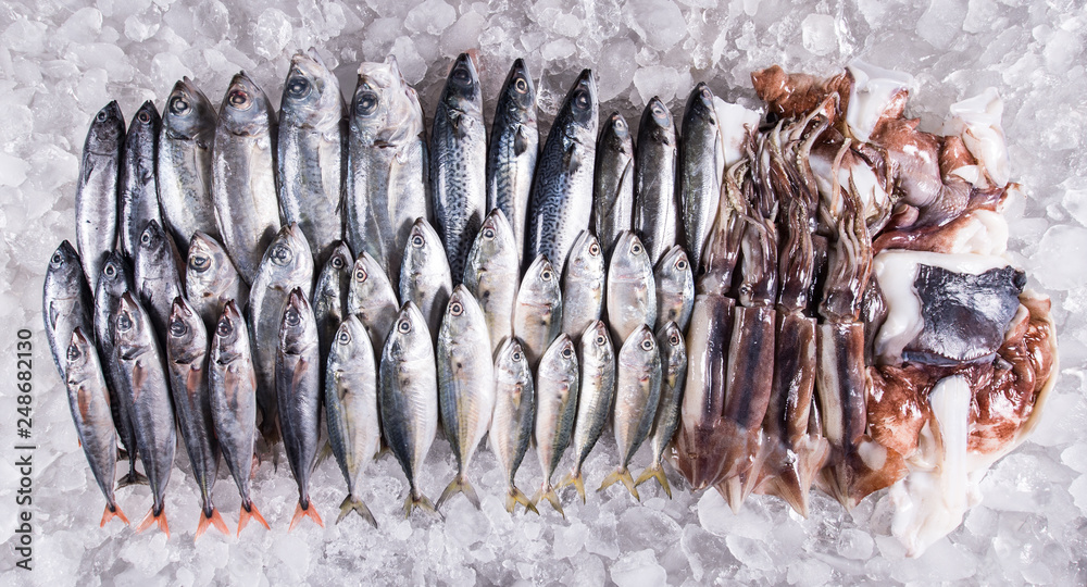 Foto de Wholesale Fish Industry to distributor retail seafood import export business fish frozen