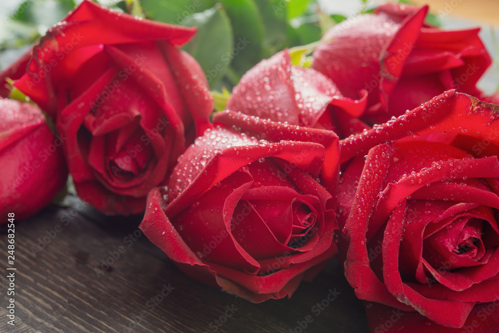 Close up red rose flower with water drops on the table can use for romantic  or love concept or Valentine day background. Stock Photo | Adobe Stock