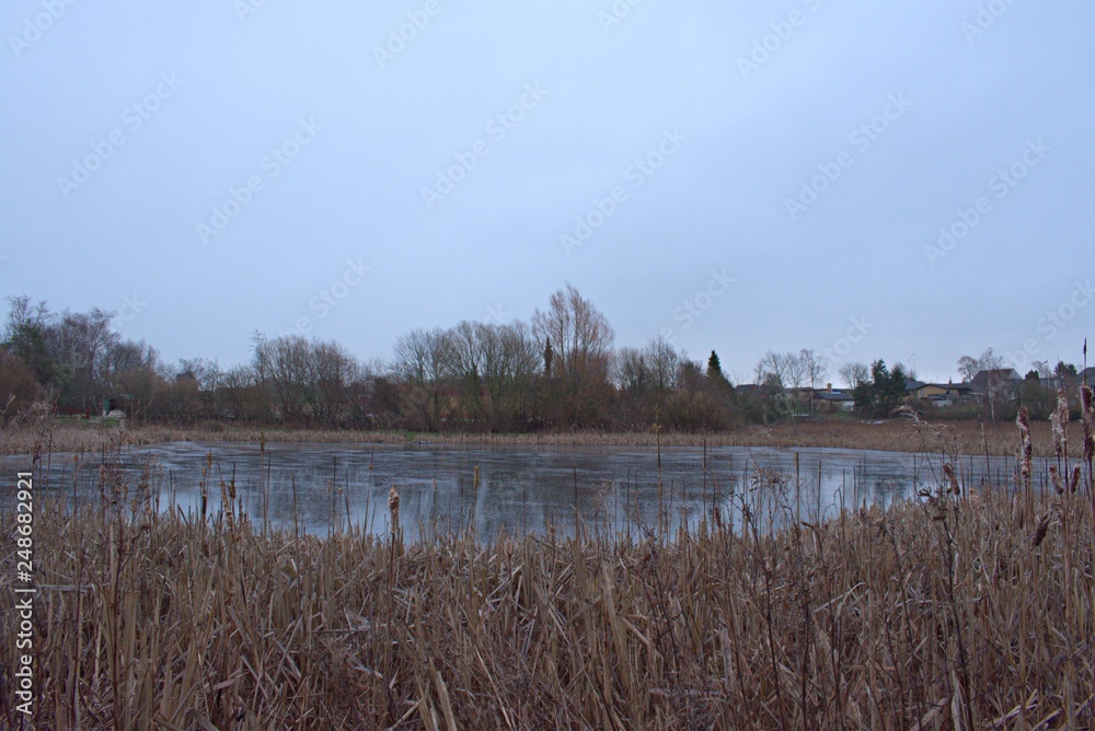 lake in winter