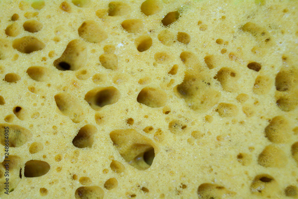 close up of yellow sponge