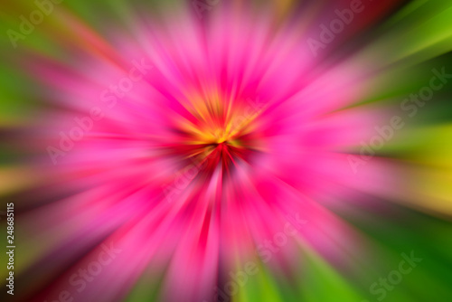 Abstract background - pink flower.