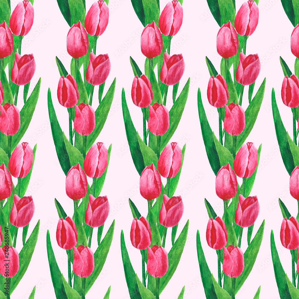 Flowers Tulips Watercolor Pattern Digital Paper Illustration Botanical Spring Decorations Design Greeting Cards Invitation