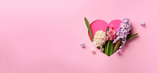 Hyacinth flowers in hole in heart shaped form over pink punchy pastel background. Top view, flat lay. Banner. Spring, summer or garden concept. Present for Woman day