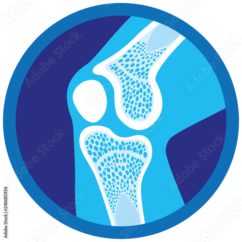 Icon or symbol of orthopedic health, knee, joints. Ideal for informative and institutional materials of medicine