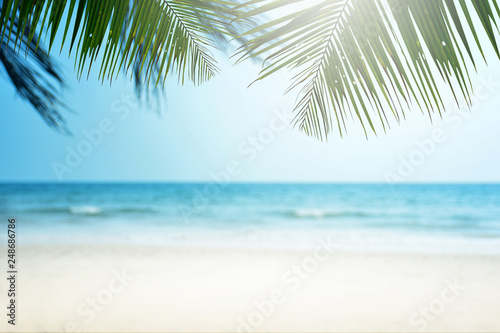 Tropical beach background with palm tree, Summer. © Ubonwan