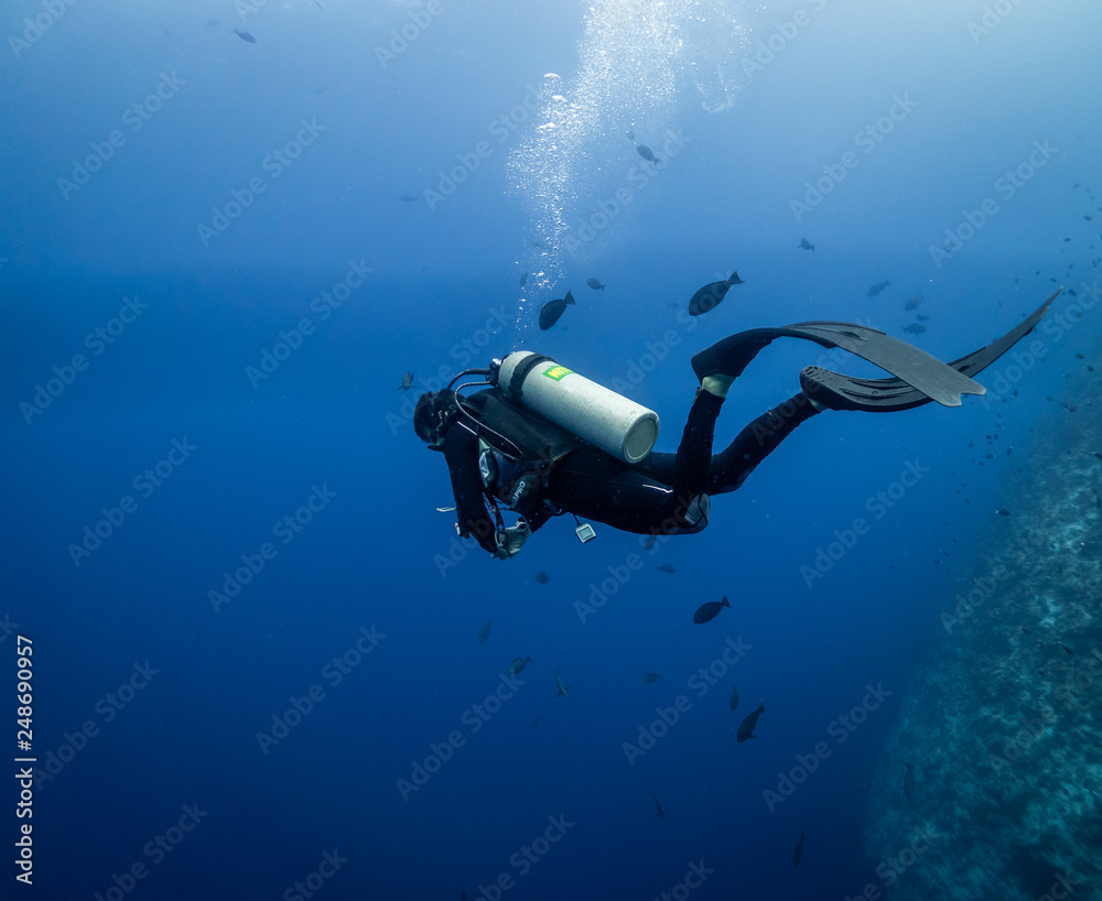 Relaxing diving moment Relaxing diving moment